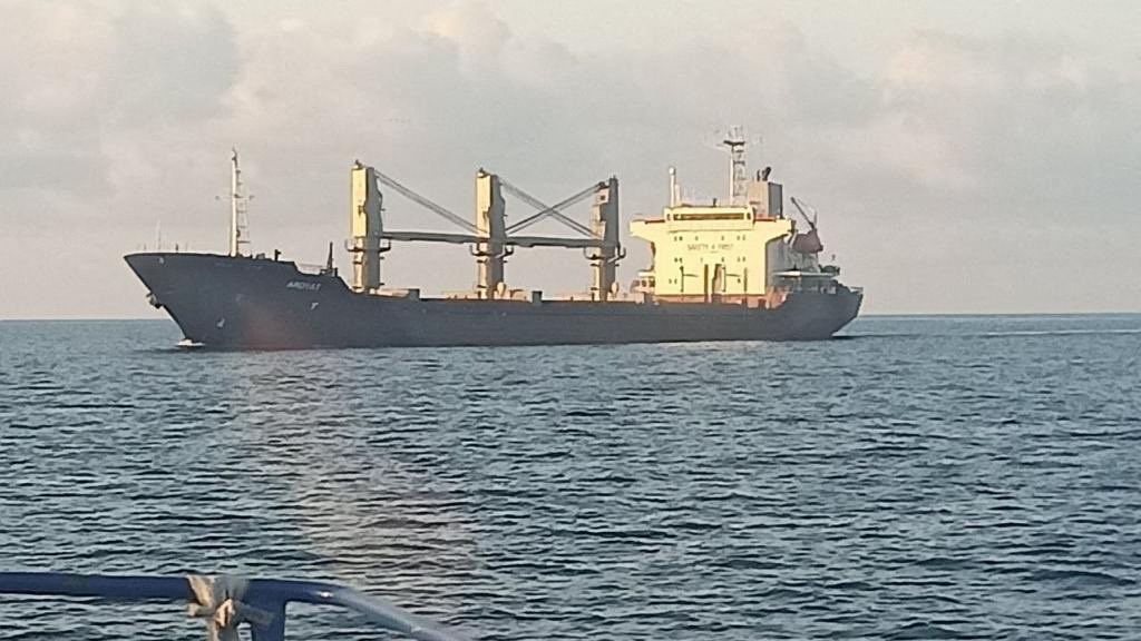 Do Turecka dorazila druhá loď s ukrajinským obilím, hrozbám navzdory